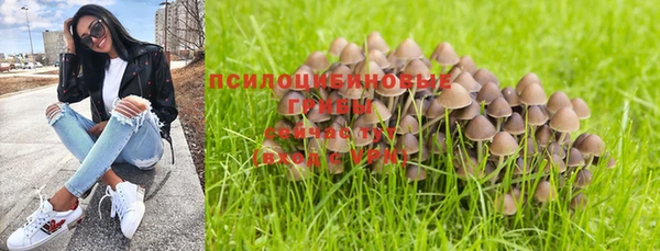 дурь Богородицк