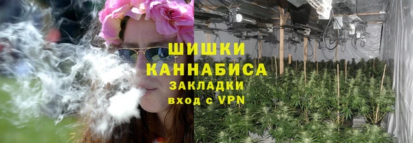 сатива Бронницы