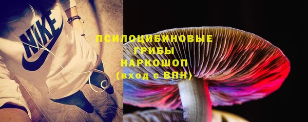 ешки Бородино