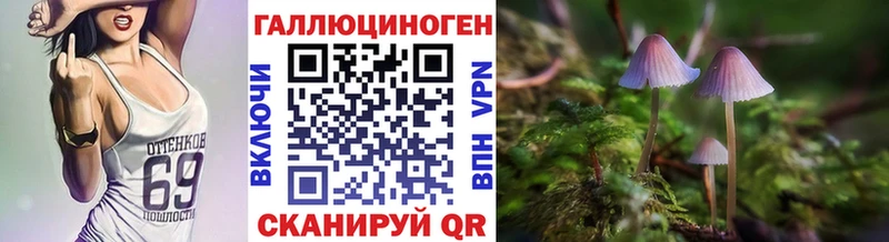 Псилоцибиновые грибы Psilocybine cubensis  Купить закладки  Шацк 